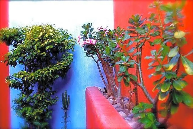 Carolina Boutique Adults Only 3* Zihuatanejo